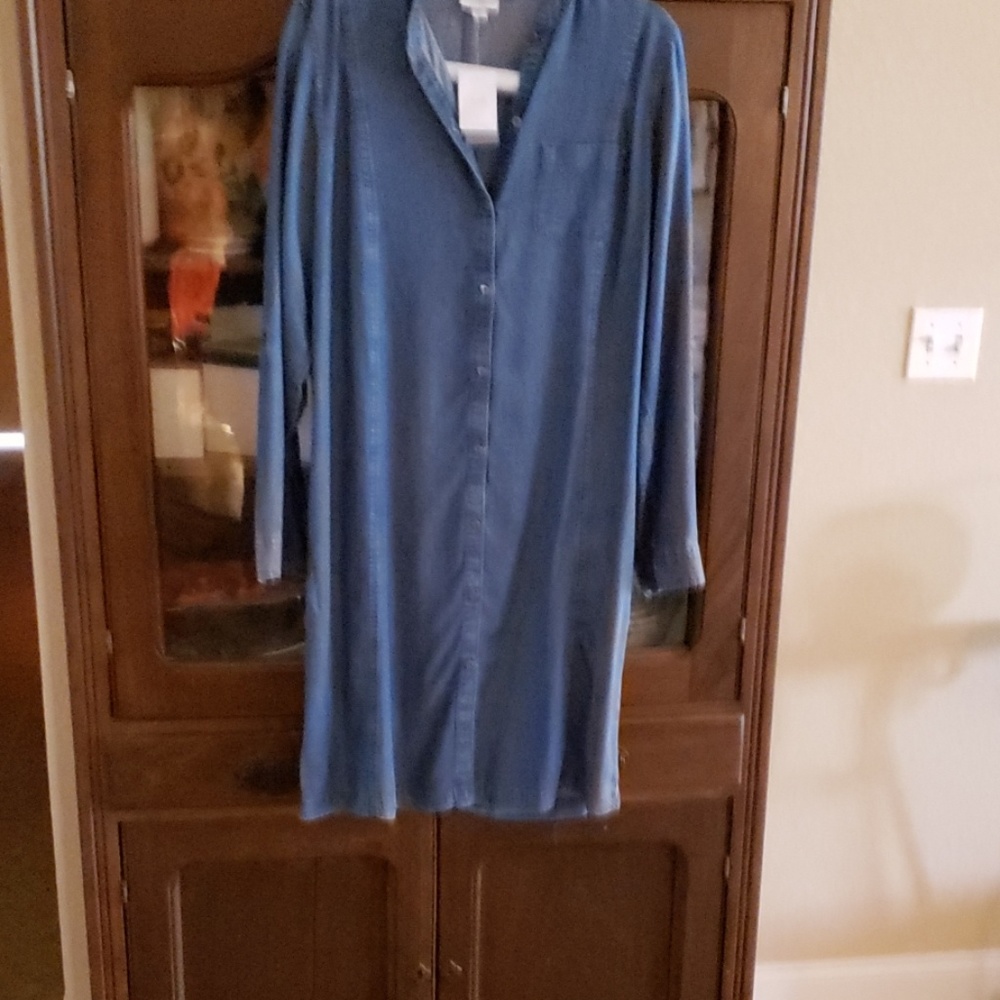 New J.Jill long sleeve dress. Pintuck front.